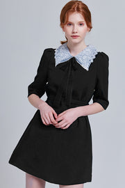 Briella Lace Collar Dress | OROSHE